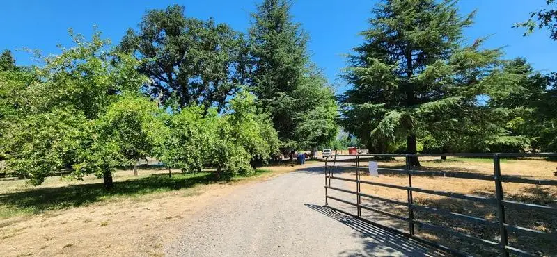 6795 Holland Loop, Cave Junction, OR 97523 - Image #2