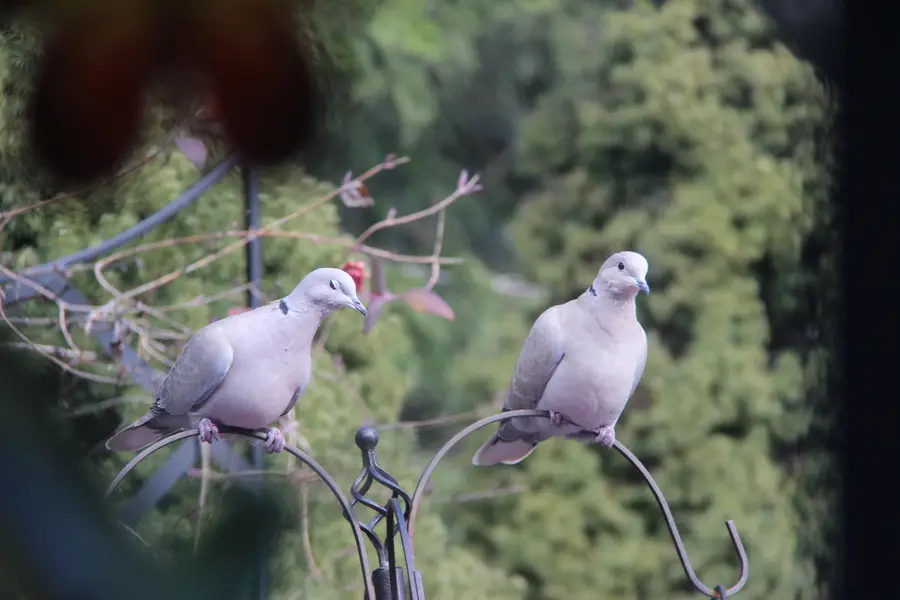 214 NW Creekside, Grants Pass, OR 97526 - Image #3