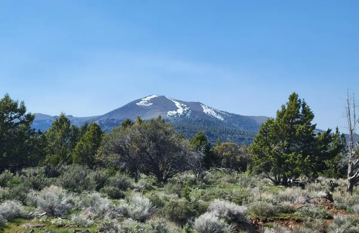 0 Hogback, Plush, OR 97637 - Image #1