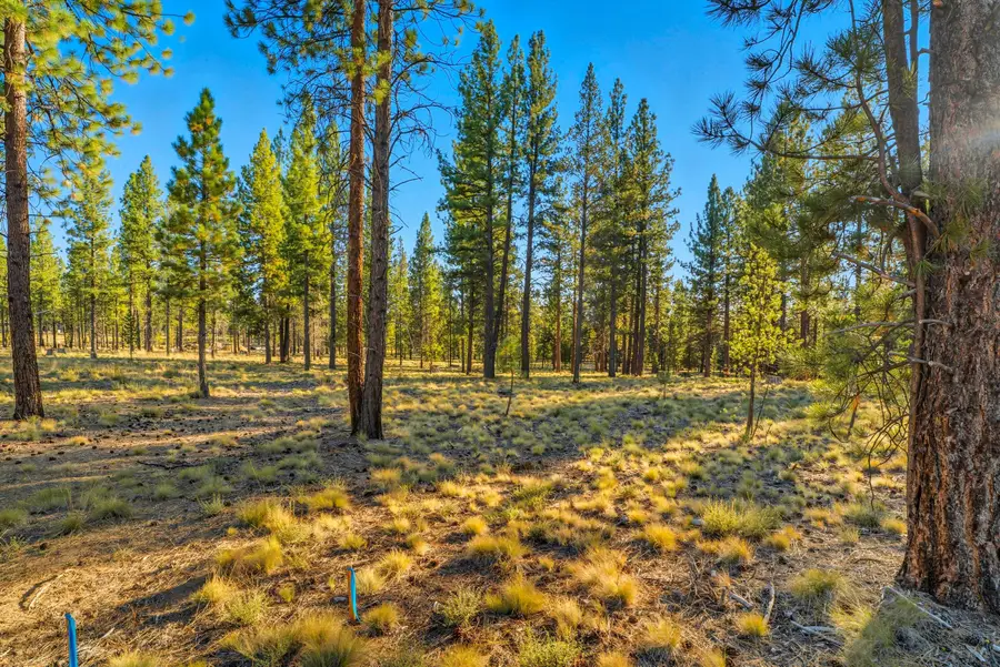 59500 Elk Run, Bend, OR 97707 - Image #3