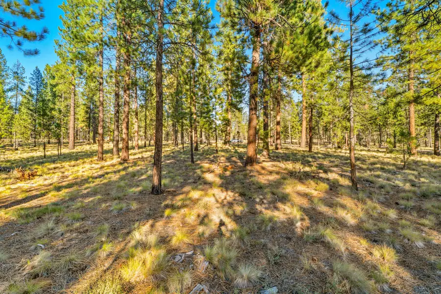 56468 Elk Run, Bend, OR 97707 - Image #3