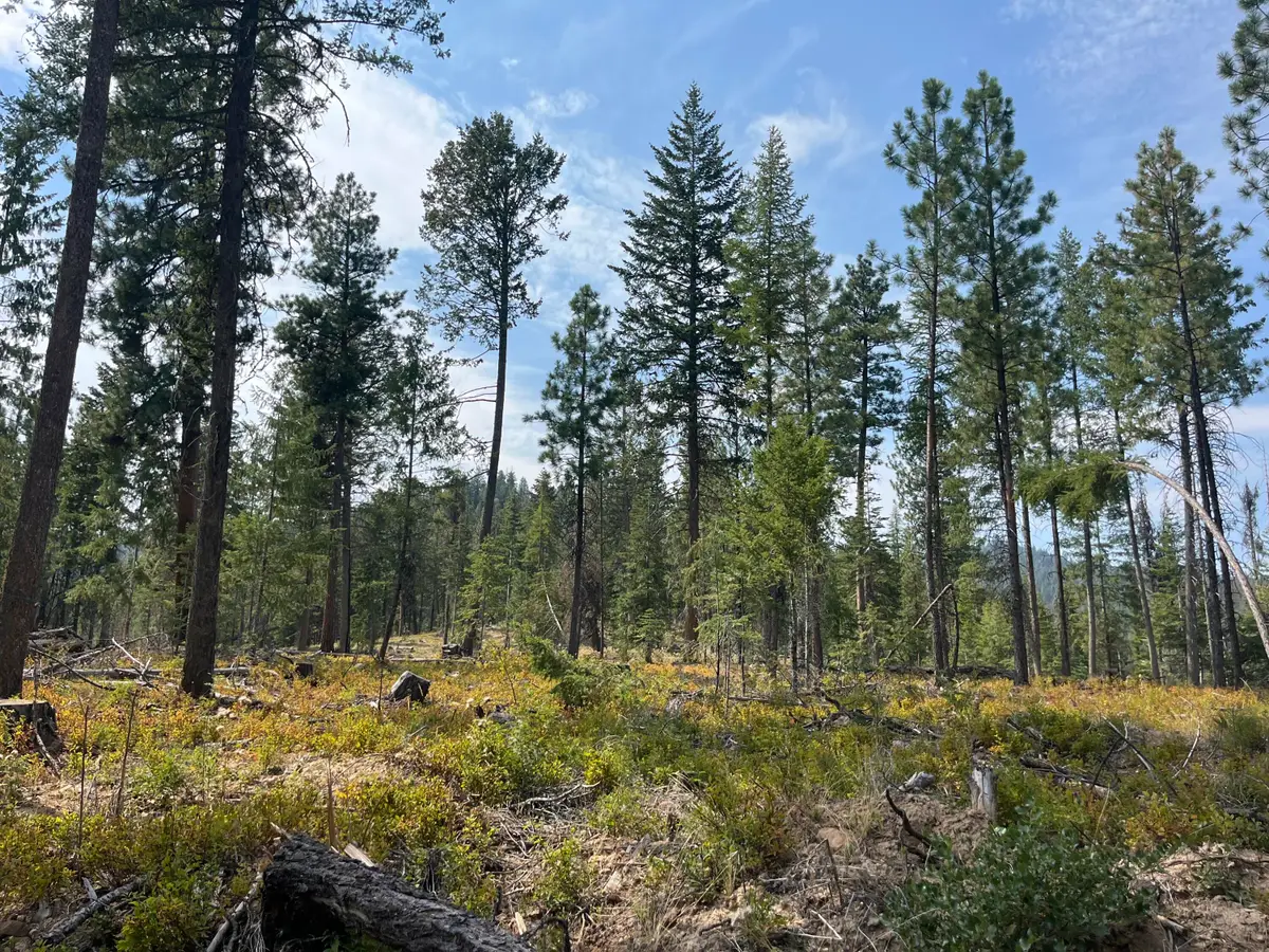 Usfs 112, Fox, OR 97845 - Image #1