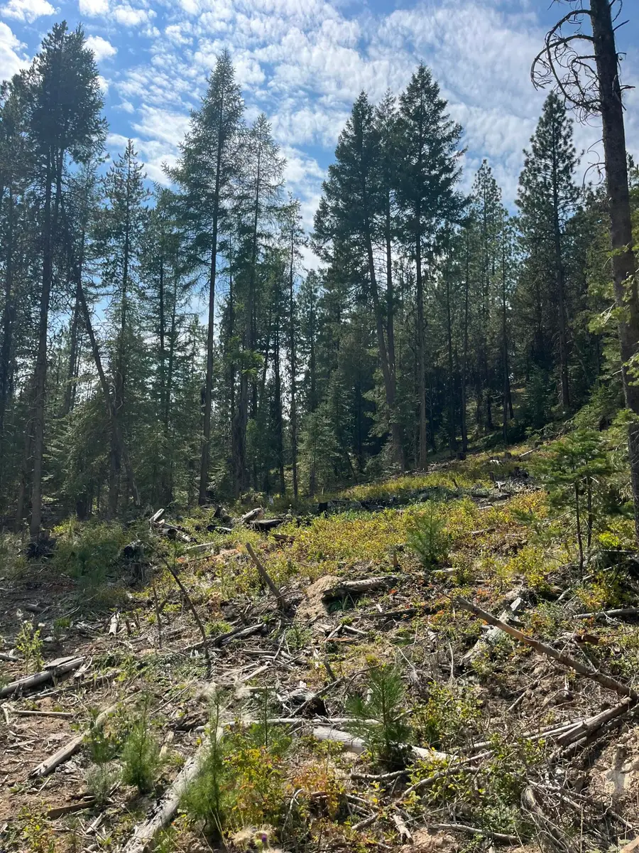 Usfs 112, Fox, OR 97845 - Image #3