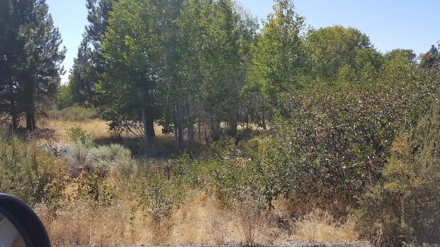 0 Forest View Drive #14-17, Chiloquin, OR 97624 - #3