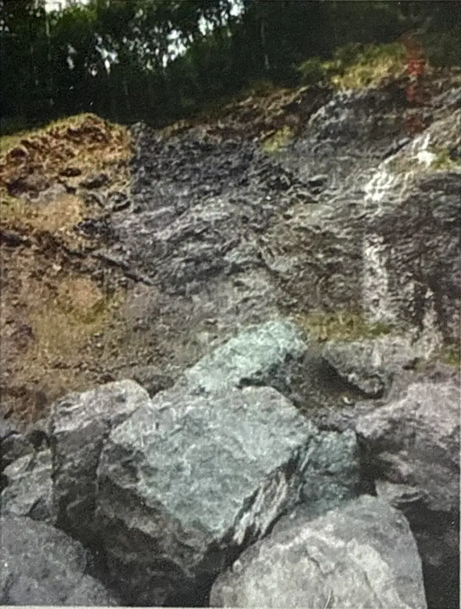 1 Kilchis River, Tillamook, OR 97141 - Image #2