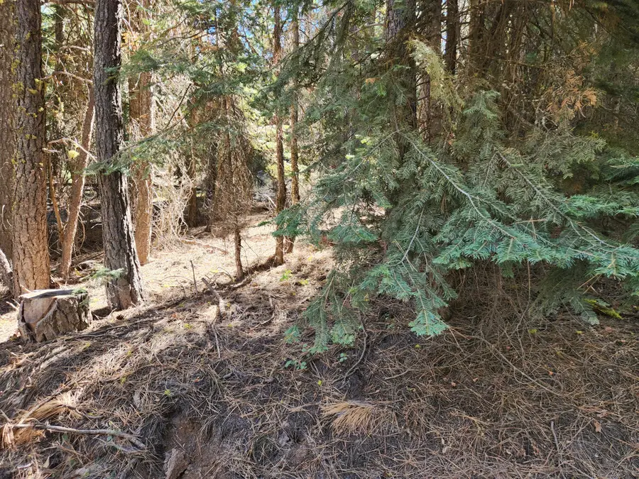 Kodiak Lane #Lot 9 Block 11, Bonanza, OR 97623 - Image #3