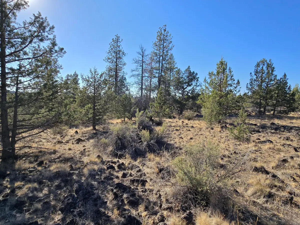 Blue Heron, Bonanza, OR 97623 - Image #1