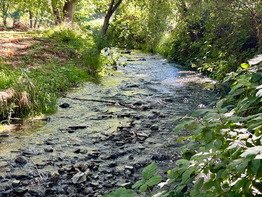 2864 Griffin Creek, Medford, OR 97501 - Image #3