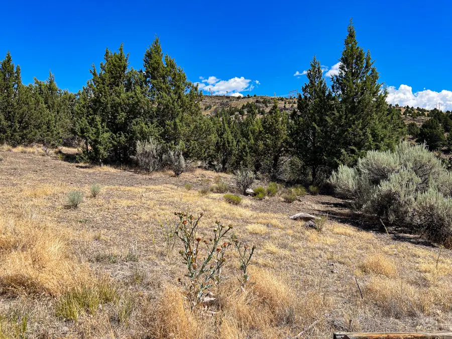 219 Valley View Drive, John Day, OR 97845 - Image #3