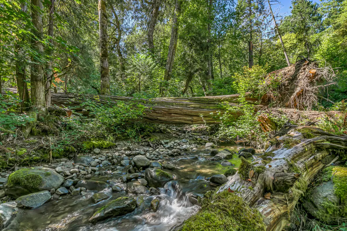 3496 East Fork, Williams, OR 97544 - Image #1