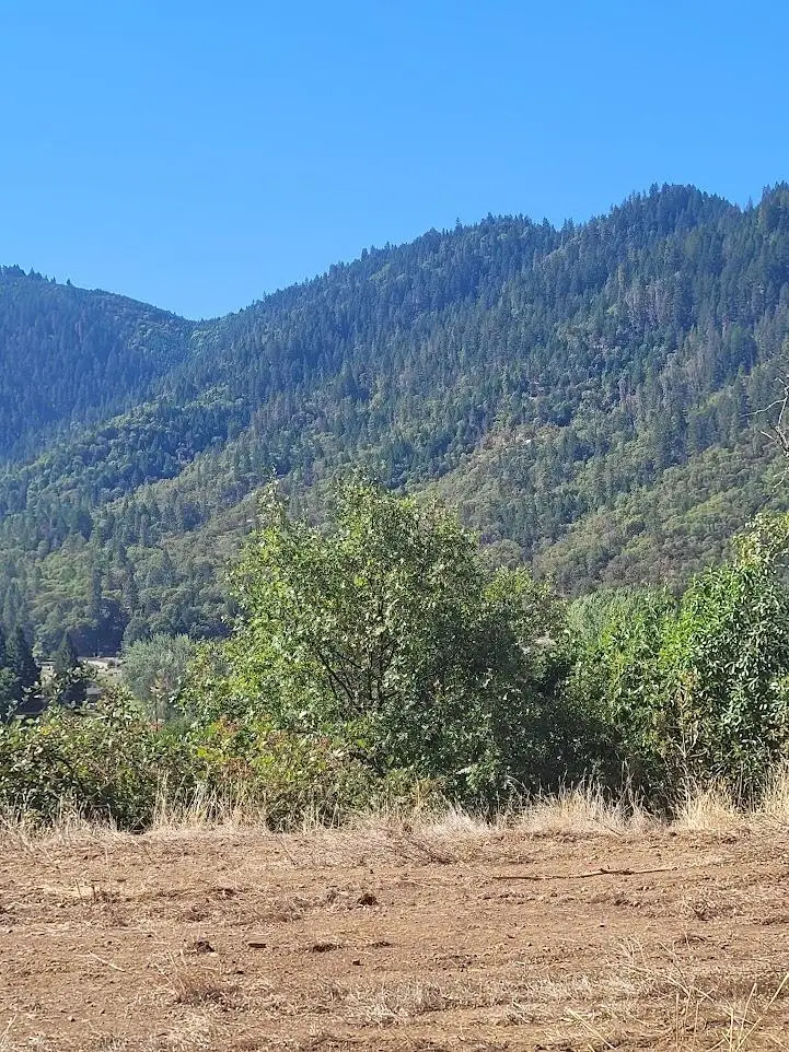 4862 N River Road, Gold Hill, OR 97525 - Image #3