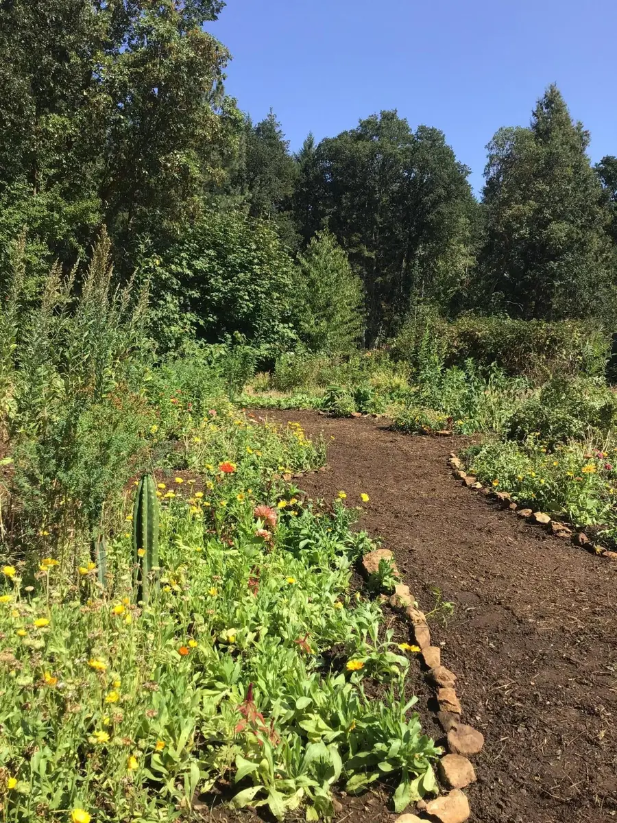 200 Humphrey Addition, Glendale, OR 97442 - Image #2