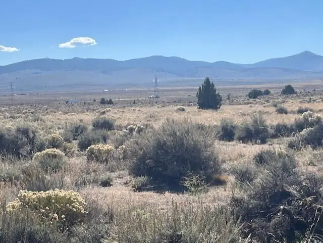 Tl 1200 Millican, Brothers, OR 97712 - Image #2