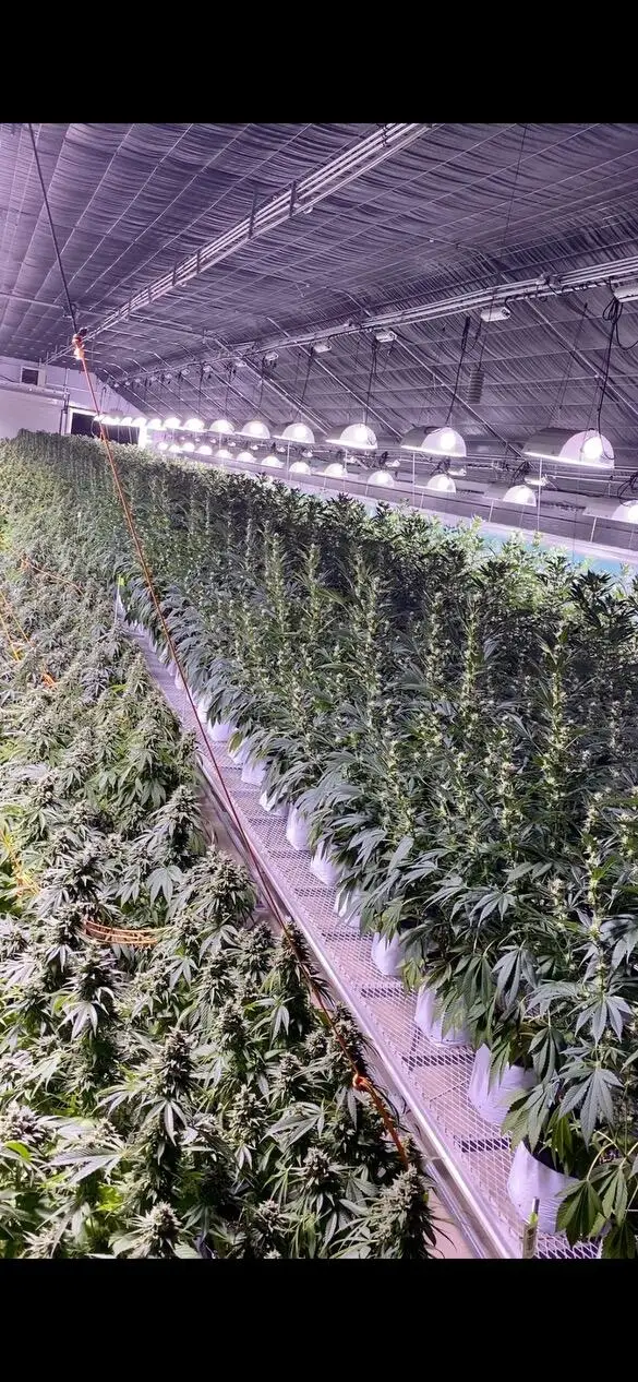 420 Reiten, Ashland, OR 97520 - Image #3