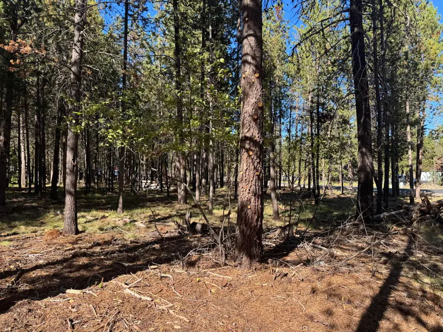 17498 Snow Goose, Bend, OR 97707 - Image #2