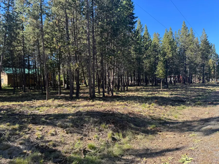 17498 Snow Goose, Bend, OR 97707 - Image #3