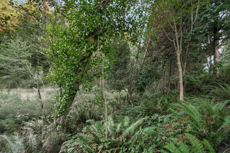 0 Ocean, Coos Bay, OR 97420 - Image #3