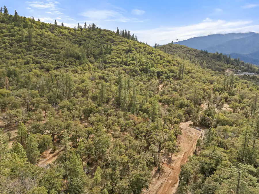 Ann Roy, Grants Pass, OR 97527 - Image #3