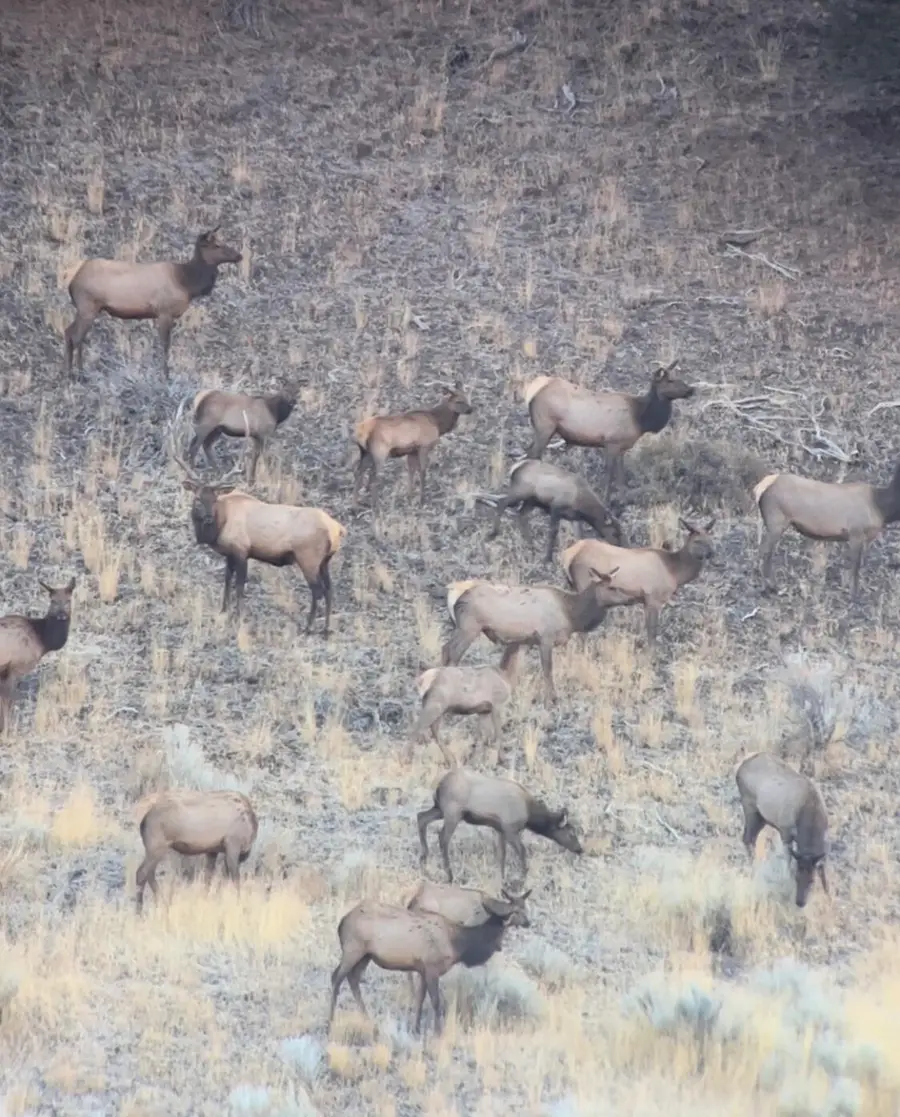 Cummings Creek, Mount Vernon, OR 97865 - Image #2