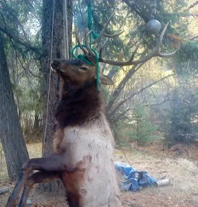 Cummings Creek, Mount Vernon, OR 97865 - Image #3