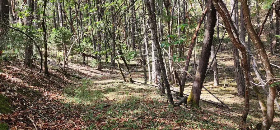 Pinecrest Drive, Grants Pass, OR 97526 - Image #2