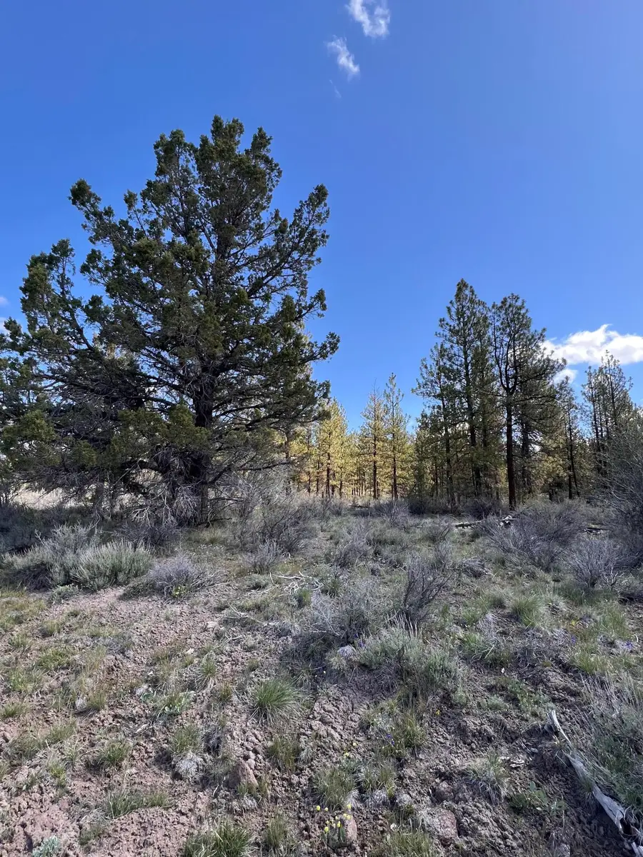 Glendale Drive #15, Beatty, OR 97621 - Image #2