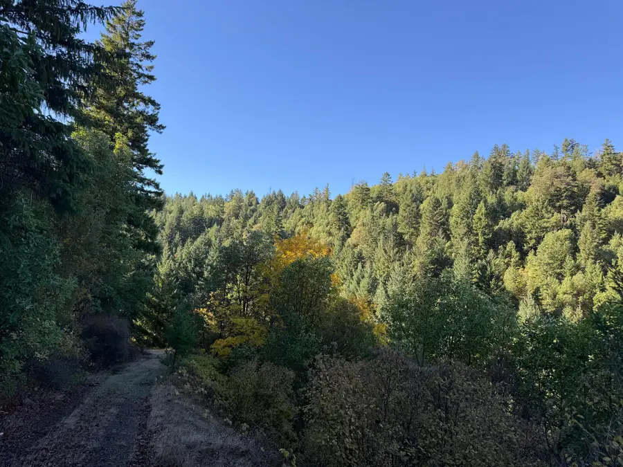 160 Birdseye Cr Road, Rogue River, OR 97537 - Image #2