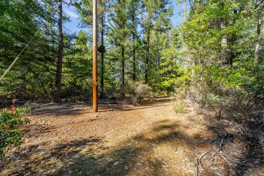 305 Floyd, Cave Junction, OR 97523 - Image #3