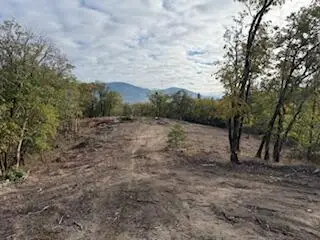 Merlin Sanitarium Road #Lot 10, Merlin, OR 97532