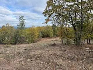 Merlin Sanitarium Road #Lot 21, Merlin, OR 97532