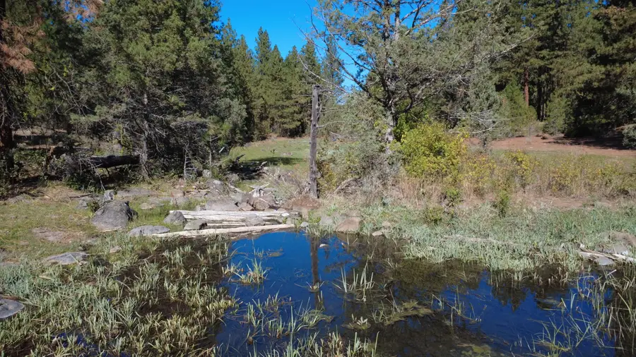 0 Hadwick Topsy Property, Klamath Falls, OR 97601 - Image #2