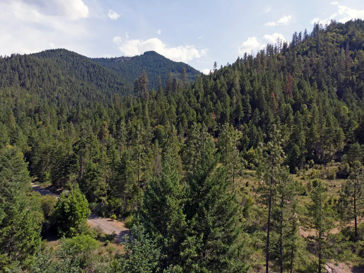 Tl3100 Thompson Creek, Jacksonville, OR 97530 - Image #1