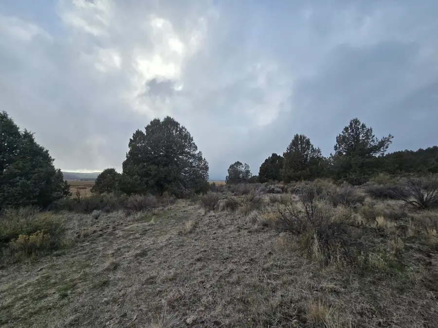 Drews, Sprague River, OR 97639 - Image #2