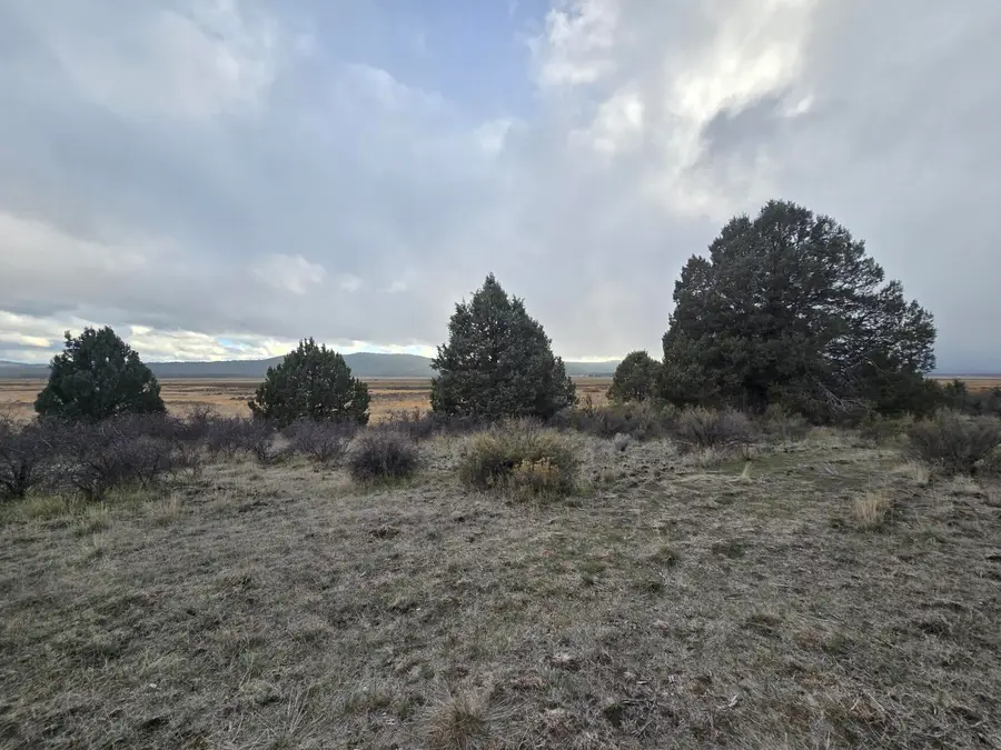 Drews, Sprague River, OR 97639 - Image #3