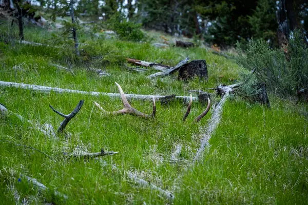 52960 Cummings Creek, Mount Vernon, OR 97865