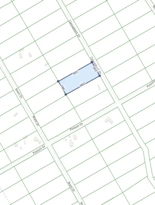 Canvasback, Bonanza, OR 97623