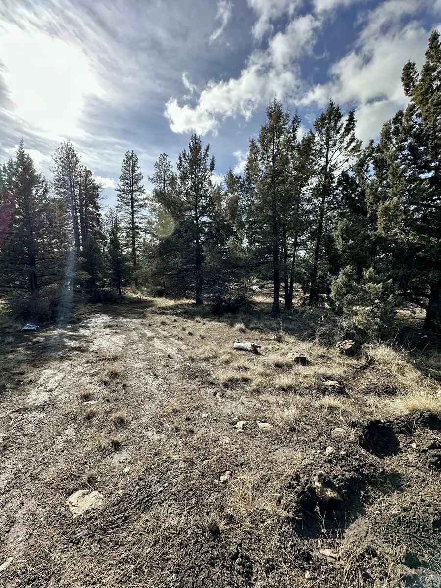 Canvasback Drive #26, Bonanza, OR 97623 - #3