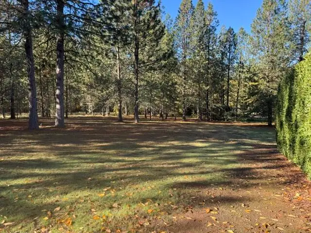 876 Ferry, Grants Pass, OR 97526 - Image #3