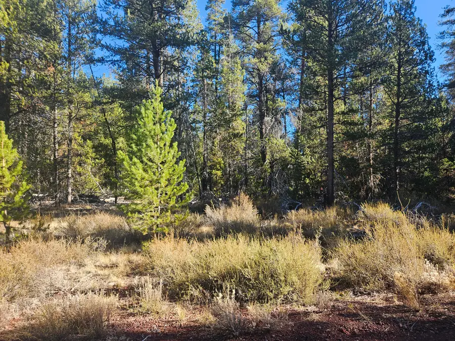 0 Scott View, Chiloquin, OR 97624 - Image #3