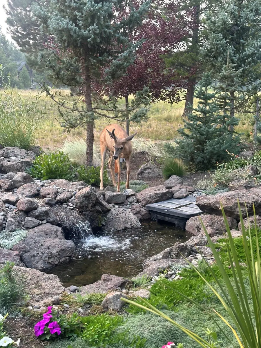 56936 Dancing Rock, Bend, OR 97707 - Image #3