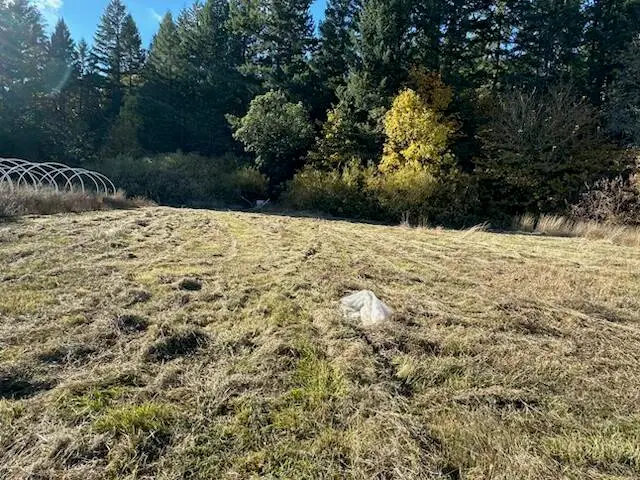 1200 Mcmullen Creek Road, Selma, OR 97538 - Image #1