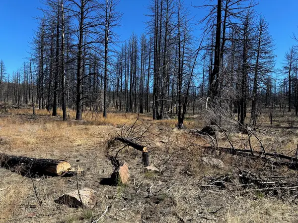 Cardinal Drive #Lot 2100, Bonanza, OR 97623