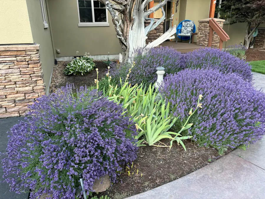 179 Highland Meadow, Redmond, OR 97756 - Image #2