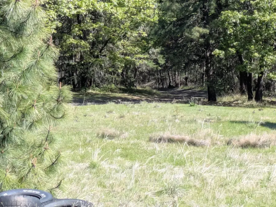 2727 Wagon Trail, Jacksonville, OR 97530 - Image #3