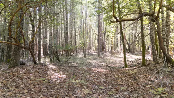 1195 Idlewild, Cave Junction, OR 97523