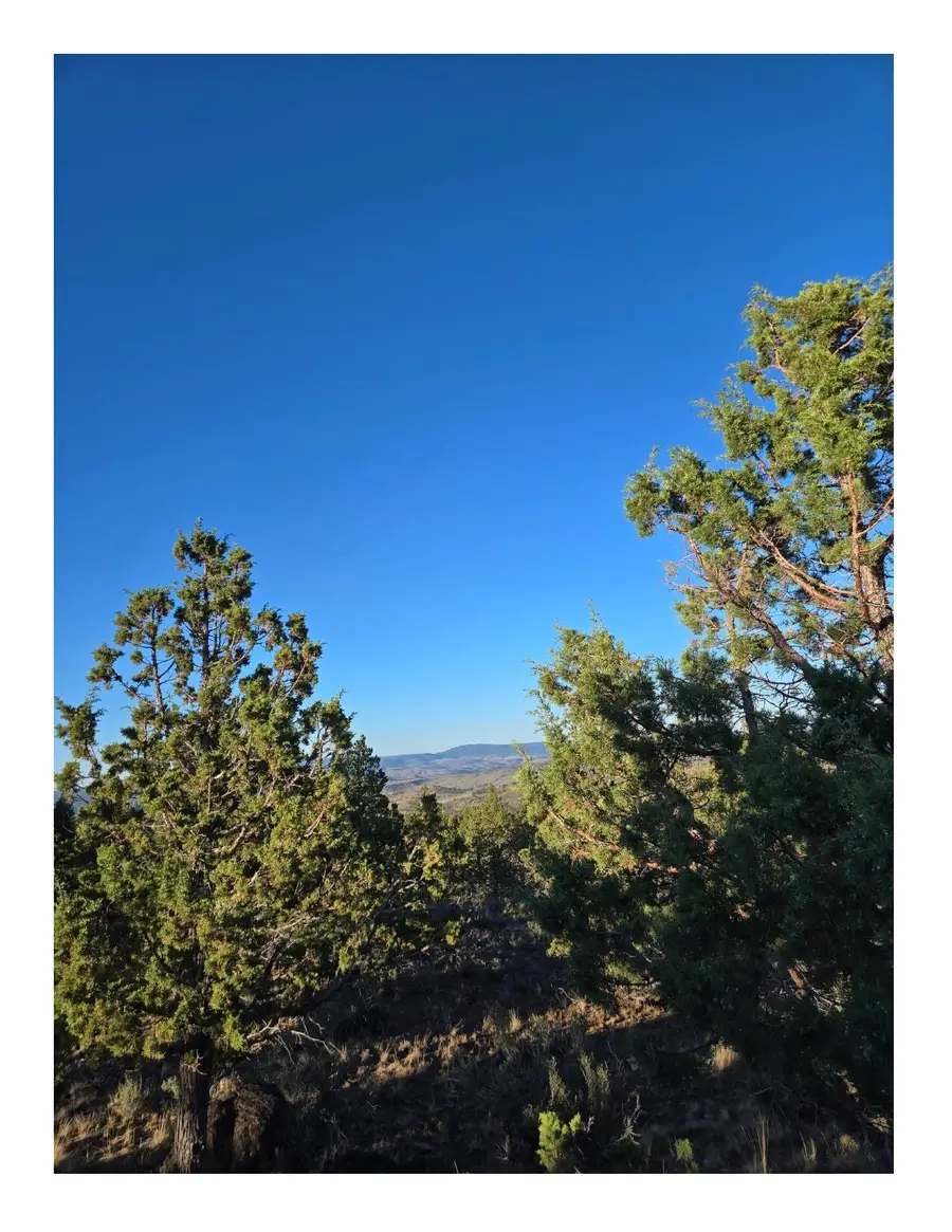 20102 Osprey, Prineville, OR 97754 - Image #3