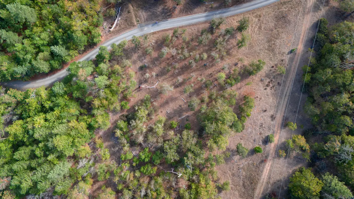 6715 W Side, Cave Junction, OR 97523 - Image #1