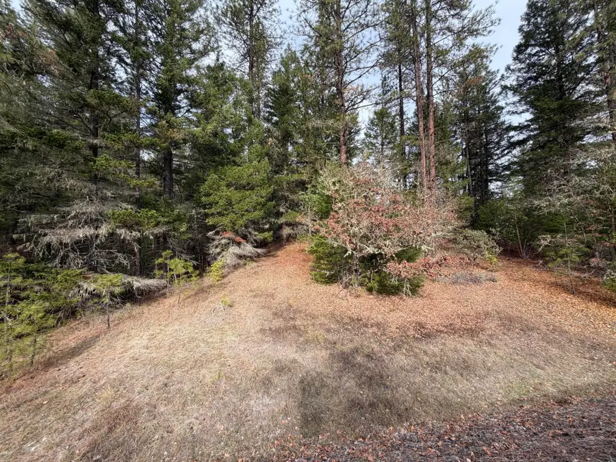 0 E Evans Creek Road #10149531, White City, OR 97503 - Image #3
