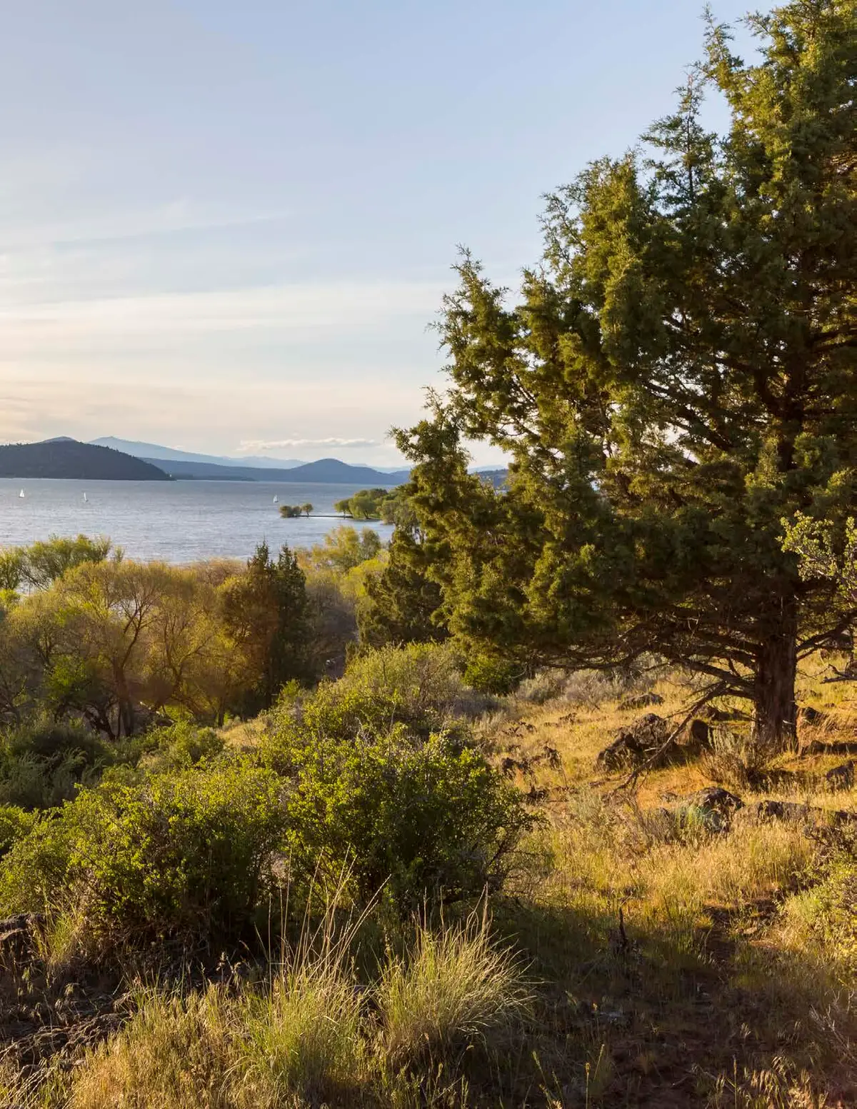 1047 Vine Maple Drive, Klamath Falls, OR 97601 - Image #1