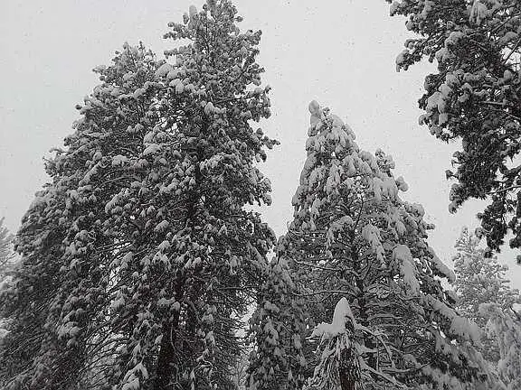 133 E Black Crater Avenue, Sisters, OR 97759 - #3